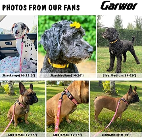 GARWORD PASH OKONA I LIESH SET, 3 zabavni uzorak podesivi zasad za pse sa sigurnosnom kopčama i d-prstenom, 5 ft podudarne pseće povodac