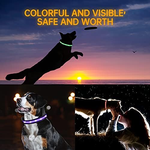 7 boja u 1 ovratniku, osvjetljavanje ogrlica za pse, rantojoy punjiv LED osvijetljeni ovratnik za pse, sjajni ogrlica za ogrlicu, ogrlica