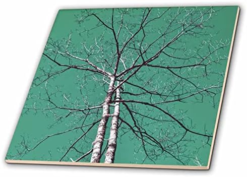 Trodimenzionalna infracrvena fotografija stabla s mnogo grana i plavo-zelenim nebom-pločica
