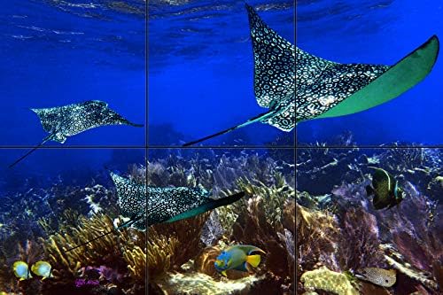 Mural pločica klizanje koralja 12-inčni 18-inčni / prekrasna fotografija pod vodom otisnuta na keramičkim pločicama / originalne fotografije