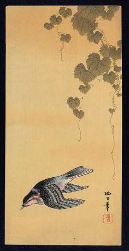 PovijesneFindings Foto: Budo Ni Shokin, Mala ptica i grožđe, fotografija Ukiyo-e, 1890-1920, Grapevine